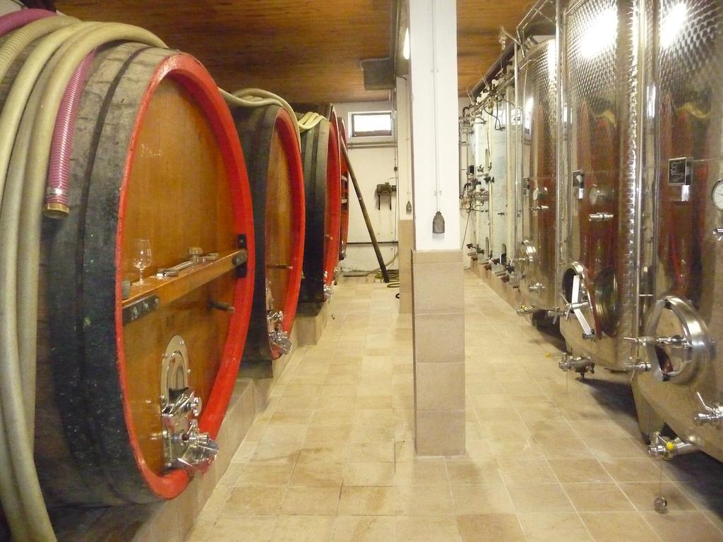 Apartament Vignobles Frey-Sohler Scherwiller Zewnętrze zdjęcie