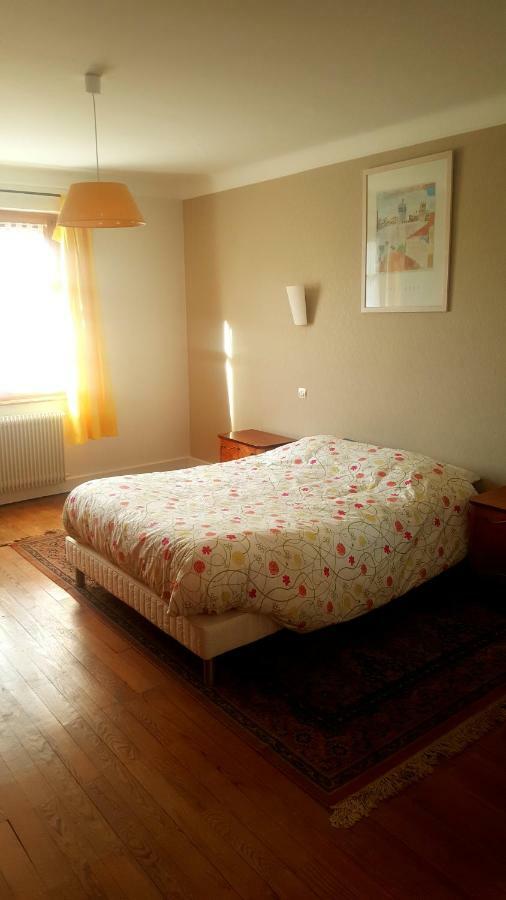 Apartament Vignobles Frey-Sohler Scherwiller Zewnętrze zdjęcie